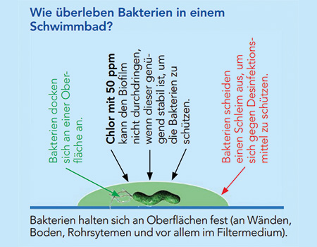 Beispielhafte Installation DASY Paket 2
