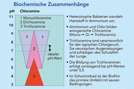 Filter Kompletset: Komponentenübersicht