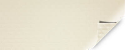 BWT Surface Schwimmbadfolie