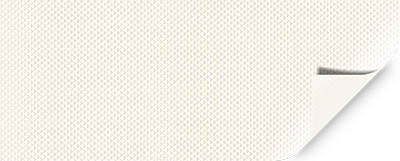 DLW delifol NGP - Trittschutzfolie