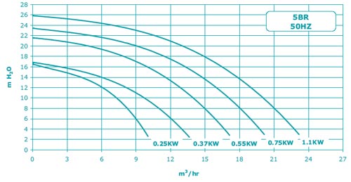 STA-RITE 5BR Pumpenkennlinie