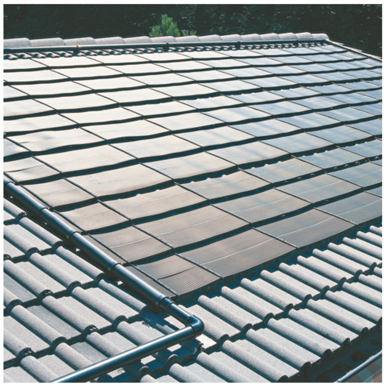 DOS Ph BASIC Exact (pH - Dosieranlage)