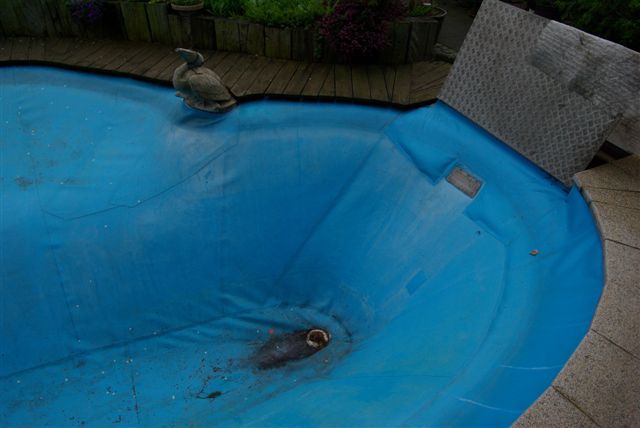 altes DDR Schwimmbecken