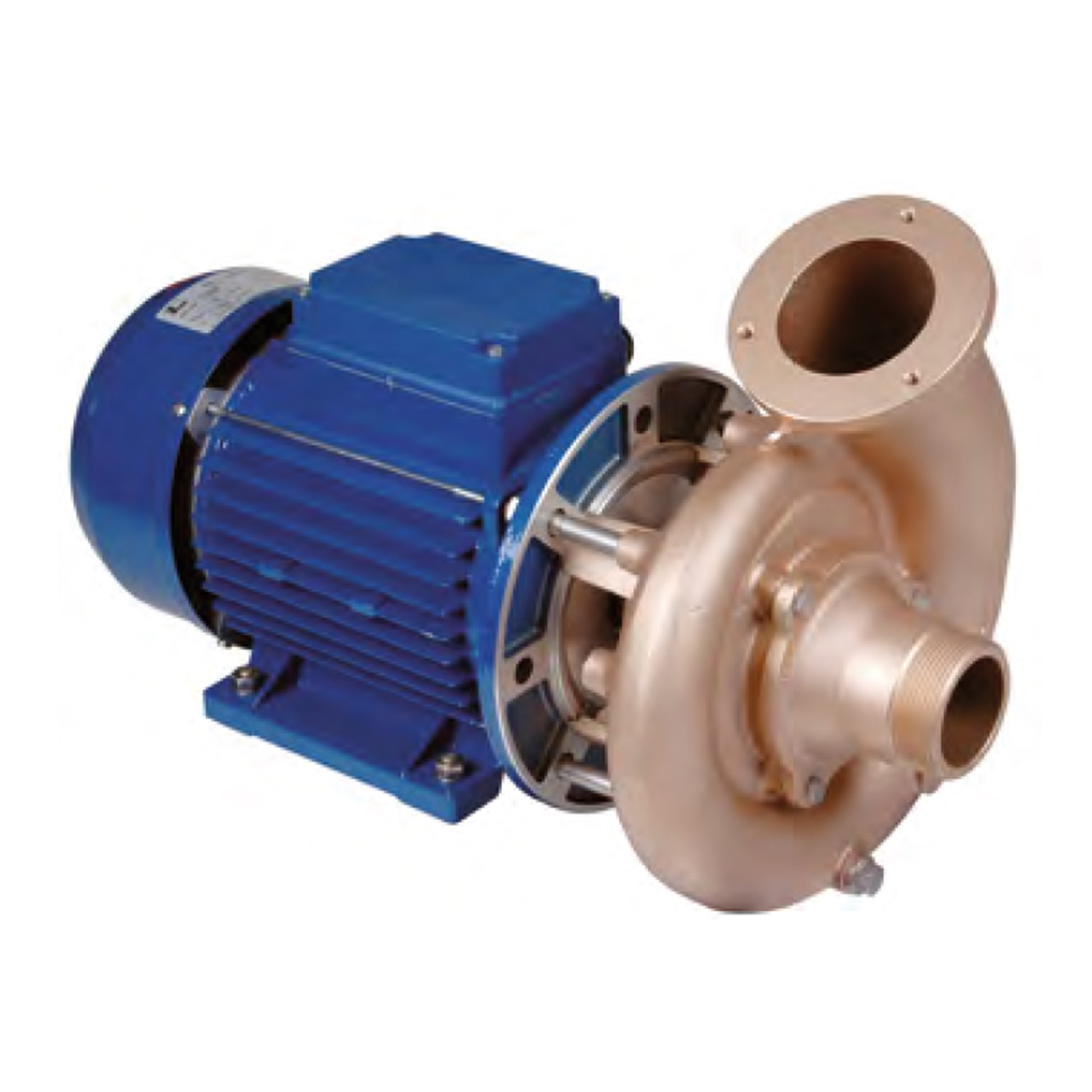 Lahme FitStar Pumpe GSB40